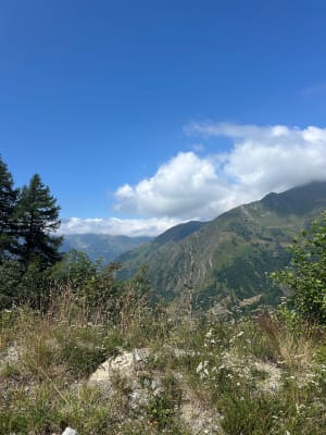 Balade en forêt de l’Ayré depuis Barèges - Barèges - 9