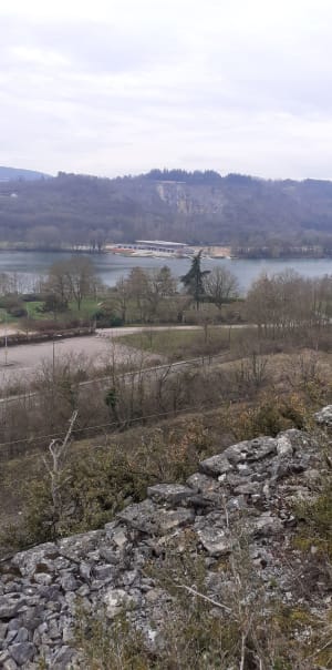Tour du lac Chanoine Kir à Dijon et escapade nature en ville - Dijon - 18