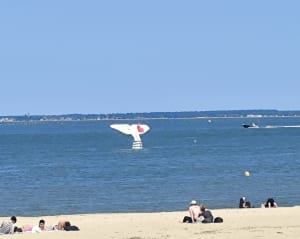 Arcachon en piste - La Teste-de-Buch - 3