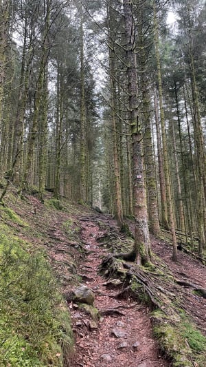 Rando du lac de Longemer au lac Listach - Xonrupt-Longemer - 29