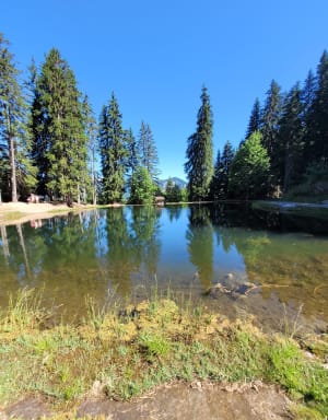 Het meer van Evettes in Praz-sur-Arly - Praz-sur-Arly - 6