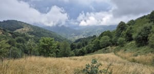 Ascension au Gresson et sa ferme-auberge depuis Rimbach - Alexis - 9