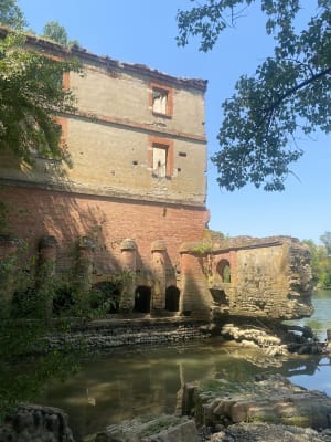Parc des quinze sols - Beauzelle - 10