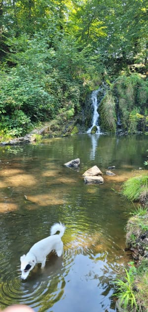 Cascade de Blangy - Hirson - 7