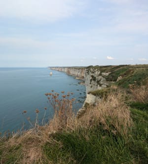 Wandeltocht langs de kust en de Aiguille de Belval - Bénouville - 51