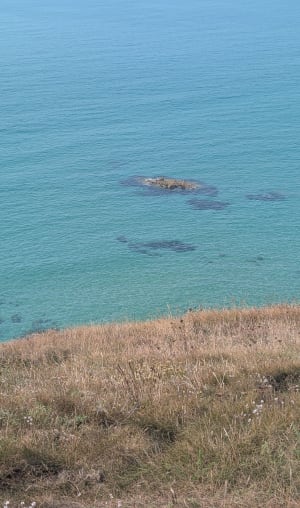 La Pointe du Raz - Morgane - 7