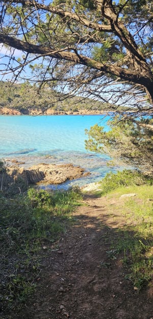 Les Cerbicales depuis Palombaggia - Porto-Vecchio - 30