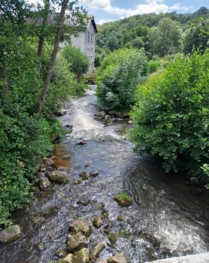 Découverte de la cascade de Saillant depuis Saint-Nectaire - Angéline - 7