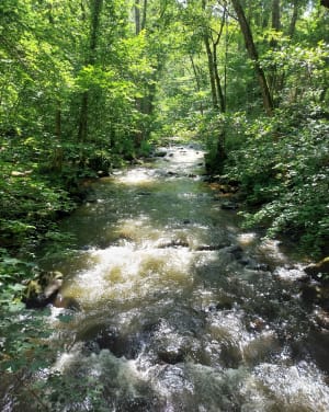 Découverte de la cascade de Saillant depuis Saint-Nectaire - Angéline - 10