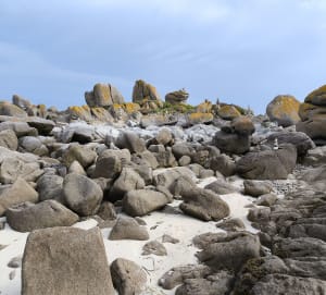 Balade sur la côte Nord du Finistère - Cléder - 11