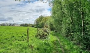 Des Sources de la Saâne à la Couture - Val-de-Saâne - 6
