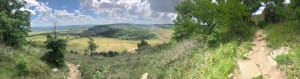 Virée dans les vignobles et panoramas en or - Meursault - 10