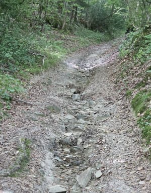 Rando entre Thury-Harcourt et Esson - Le Hom - 2
