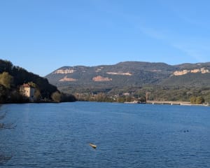 Porcieu-Amblagnieu et évasion au paradis le long du Rhône - Porcieu-Amblagnieu - 6