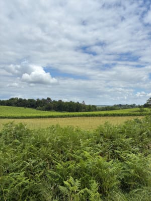 Randonnée à Castelnau d'Auzan - Marie-Lyne - 7