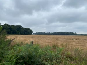 La boucle des Galandeaux - Crécy-en-Ponthieu - 7