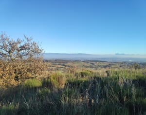 Boucle Toulaud - Chalamand - Toulaud - 13
