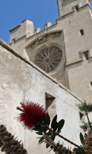 Du cœur de ville ancien aux écluses, Béziers se réinvente - Béziers - 11