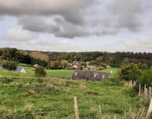 Limpiville et sortie élégante dans le bocage normand - Limpiville - 7