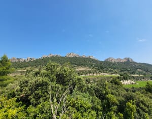 Sortie aux Dentelles de Montmirail - Lafare - 6