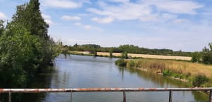 Balade dans le Marais Poitevin depuis Maillezais (avec détour point de vue) - Maillezais - 8