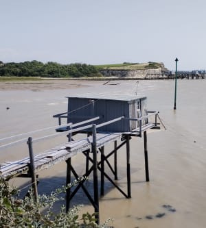 Talmont sur gironde Barzan Plage - Talmont-sur-Gironde - 21