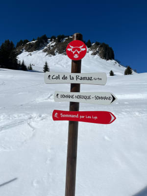 Col de la Ramaz vanuit Praz-de-Lys - Praz-de-Lys - 9