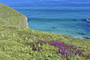 Exploration de la Pointe du Van et sa côte sauvage - Cleden Cap Sizun - 3