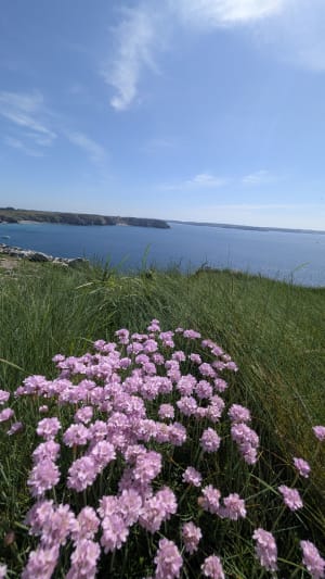 Balade entre la pointe du Toulinguet et la pointe de Pen Hir - Camaret-sur-Mer - 32