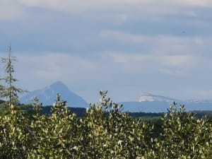 Balade au Clos Gaillard Vert - Nîmes - 5