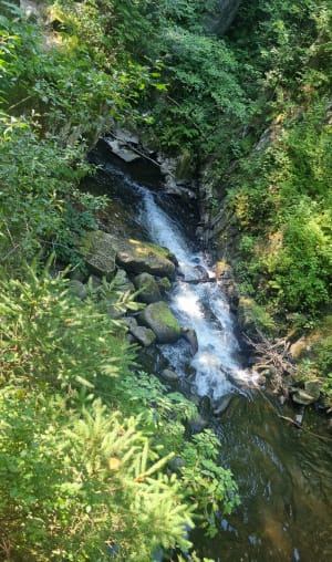 Balade le long de la Vologne et sa Cascade du Saut des Cuves - Xonrupt-Longemer - 28