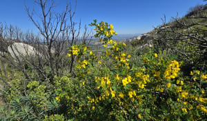 Virée sur le toit des Alpilles et perspective vers l'azur - Eyguières - 15
