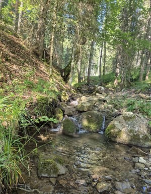 Petit tour des crêtes de Culées - Seytroux - 7