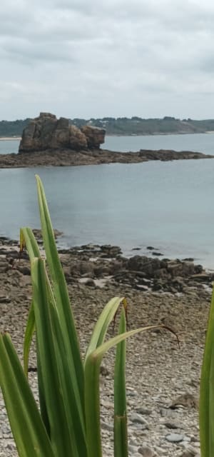 Randonnée tout autour de La Pointe de Bihit - Trebeurden - 11