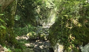 Watervallen van Alloix en Tardy Mill Loop in de winter - Saint-Vincent-de-Mercuze - 11