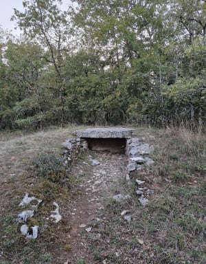 Tour du Pech Merle et évasion en forêt de Soulignac - Souillac - 6