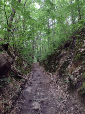 Buttes de Rosne - Neuville-Bosc - 2