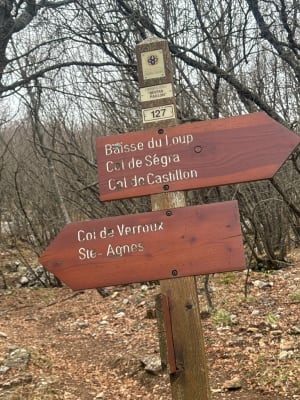 Mont Ours et ses alentours - Castillon - 17