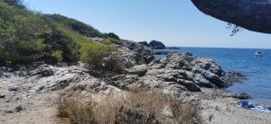 Balade jusqu'à l'île du Grand Gaou - Six-Fours-les-Plages - 18
