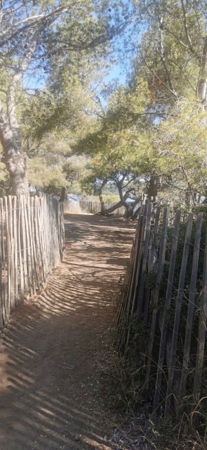 Balade jusqu'à l'île du Grand Gaou - Six-Fours-les-Plages - 20