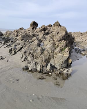 Balade presqu'île d Hillion - Hillion - 17