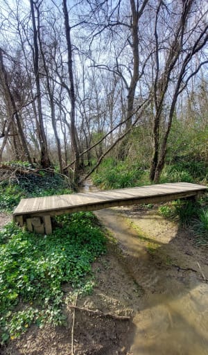 Boucle de Rebigue, vers Corronsac - Rebigue - 4