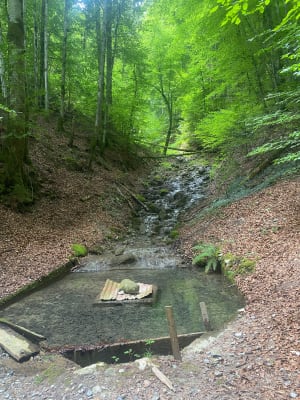 Boscircuit bij Lac des Vernays - La Rivière-Enverse - 13