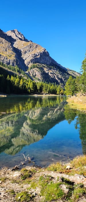 Balade entre Lac de l'Orceyrette et réserve biologique - Villar-Saint-Pancrace - 17