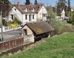 Balade et tour du Lac de Nogent-Sur-Vernisson - Virginie - 3