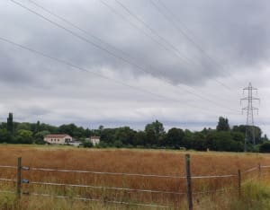 Balade au Parc de Miribel - Décines-Charpieu - 21