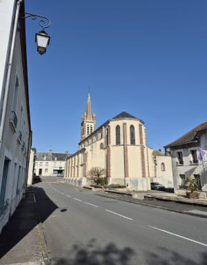Balade et tour du Lac de Nogent-Sur-Vernisson - Virginie - 6