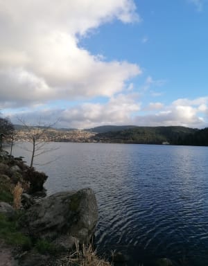 Le tour du lac de Gérardmer - Gérardmer - 36