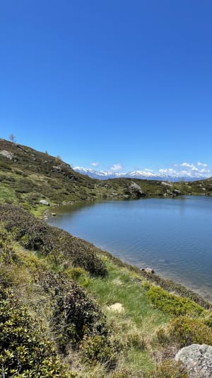 Wandeling naar de Appyvijver - Appy - 4