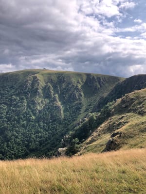 Ascension de l'Hohneck et escapade dans les Vosges - Xonrupt-Longemer - 7